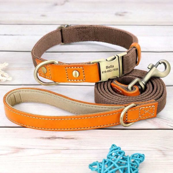 Nylon ID Dog Collar with Leash