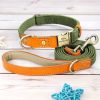 Nylon ID Dog Collar with Leash