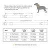 Nylon ID Dog Collar with Leash