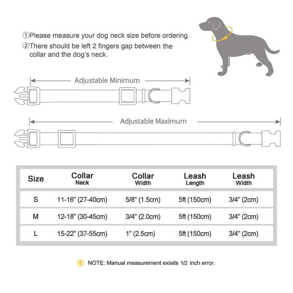 Nylon ID Dog Collar with Leash