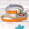 Nylon ID Dog Collar with Leash