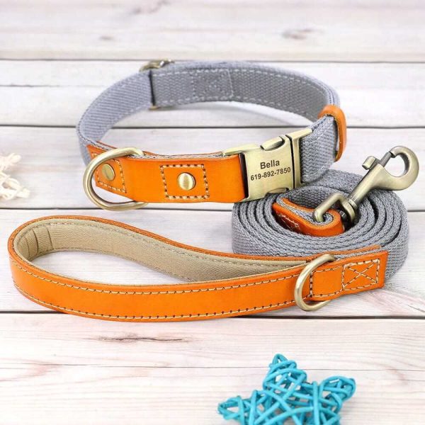 Nylon ID Dog Collar with Leash
