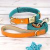 Nylon ID Dog Collar with Leash
