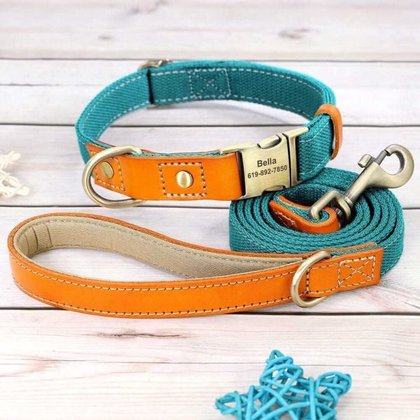 Nylon ID Dog Collar with Leash