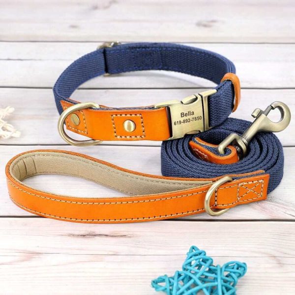 Nylon ID Dog Collar with Leash