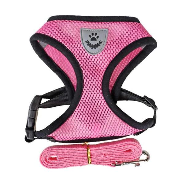 Nylon Mesh Dog Harness And Leash