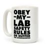 Obey My Lab Safety Rules or Suffer the Consequences Science Teacher Coffee Mug