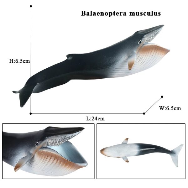 Ocean Animal Action Figures Sea Life Model