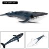 Ocean Animal Action Figures Sea Life Model