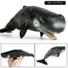 Ocean Animal Action Figures Sea Life Model