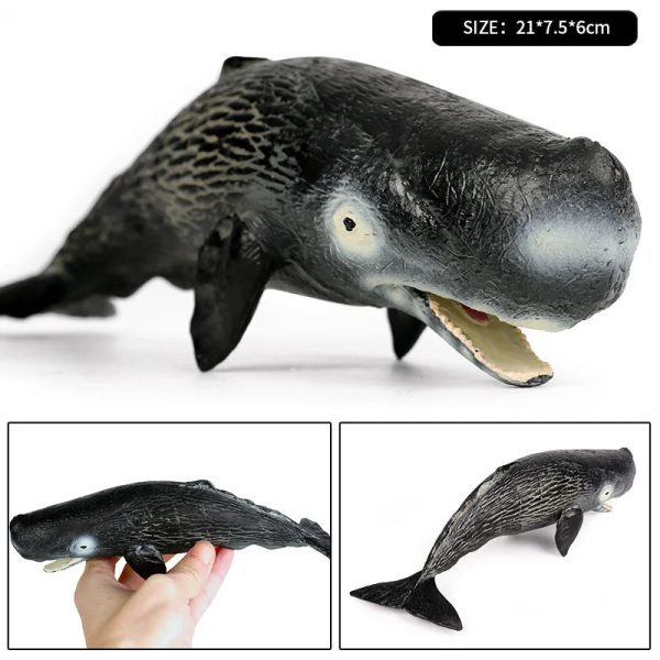 Ocean Animal Action Figures Sea Life Model