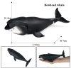Ocean Animal Action Figures Sea Life Model