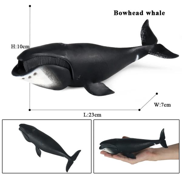 Ocean Animal Action Figures Sea Life Model