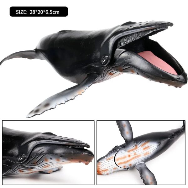 Ocean Animal Action Figures Sea Life Model