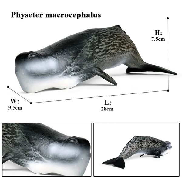 Ocean Animal Action Figures Sea Life Model