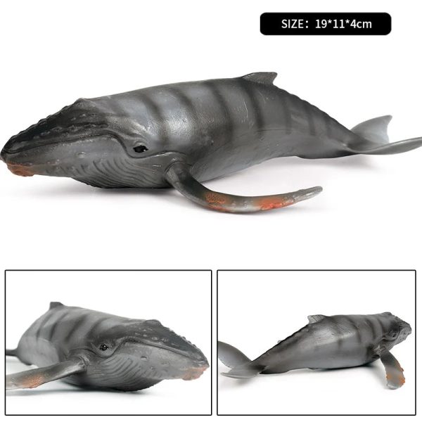 Ocean Animal Action Figures Sea Life Model