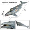 Ocean Animal Action Figures Sea Life Model