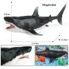 Ocean Animal Action Figures Sea Life Model