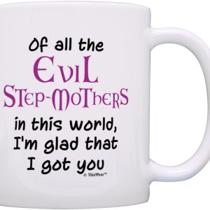 Of All the Evil Step Mothers I'm Glad I Got You Coffee Mug Funny Gift for Stepmom from Stepdaughter Stepson
