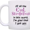 Of All the Evil Step Mothers I'm Glad I Got You Coffee Mug Funny Gift for Stepmom from Stepdaughter Stepson