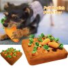 Pet Carrot Plush Toy - Interactive Chew & Sniff Training for Dogs