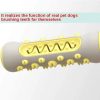 Pet Dog Molar Toothbrush Chew Toy Dental Care Stick for Dogs