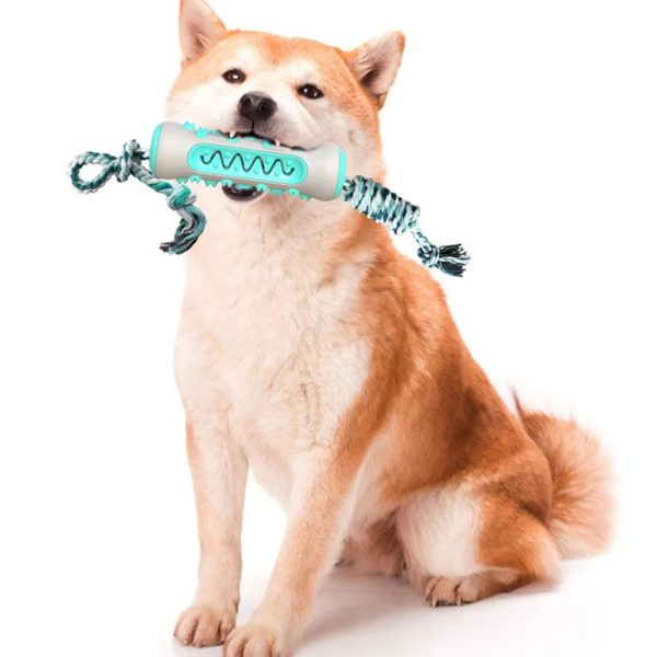 Pet Dog Molar Toothbrush Chew Toy Dental Care Stick for Dogs
