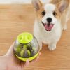 Pet Enrichment Food & Treat Toys