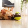 Pet Enrichment Food & Treat Toys