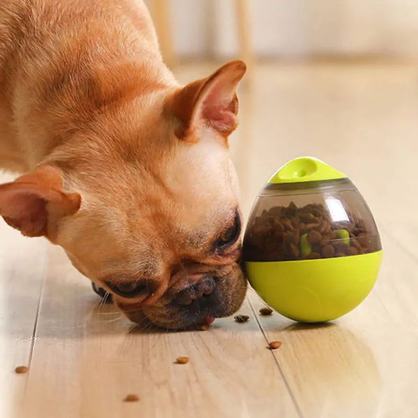 Pet Enrichment Food & Treat Toys