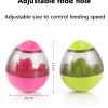 Pet Enrichment Food & Treat Toys