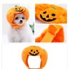Pet Pumpkin Hat