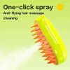 Pet Spray Massage Comb Electric Cat Steam Brush
