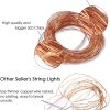 Photo Clip String Lights, 33Ft, 100 Led With Clear Clips