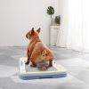 Portable Dog Training Toilet