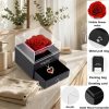 Preserved Rose with I Love You Necklace Gift Set