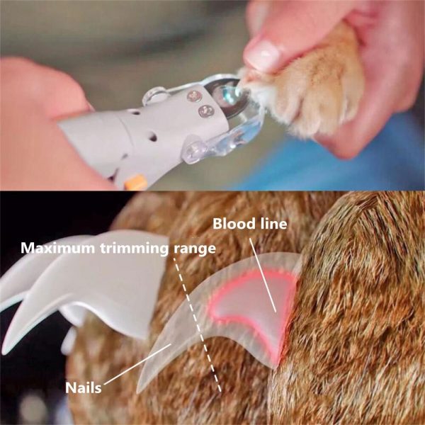 Professional Led Pet Nail Clipper