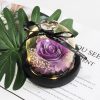 Purple Soap Rose In Glass Dome With Led Light
