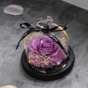 Purple Soap Rose In Glass Dome With Led Light