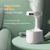 Rain Cloud Humidifier