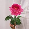 Real Touch Austin Latex Rose Bouquet Set of 5