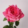 Real Touch Austin Latex Rose Bouquet Set of 5