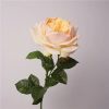 Real Touch Austin Latex Rose Bouquet Set of 5