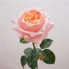 Real Touch Austin Latex Rose Bouquet Set of 5