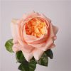 Real Touch Austin Latex Rose Bouquet Set of 5