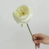 Real Touch Austin Rose Artificial Flowers Set of 7