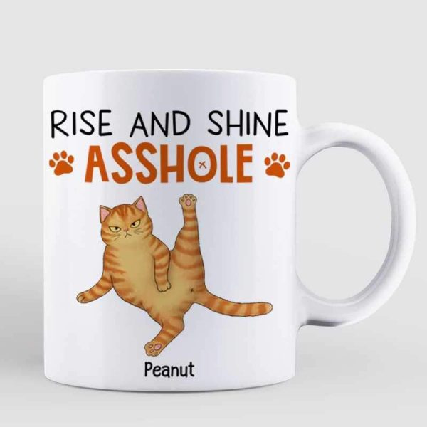 Rise And Shine Sassy Fluffy Cats Personalized Mug
