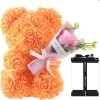 Rose Bear with Flower Bouquet 24cm