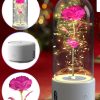 Rose Flowers Led Light And Bluetooth Speaker