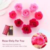 Rose Petal Scented Soap Gift Set